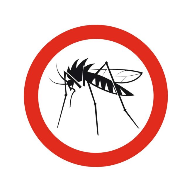 Mosquito Traveller Quilted XXL | Amazonas - Image 7